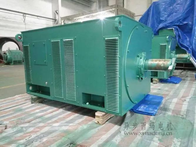 西瑪電機(jī)Y5603-10 560KW <a href=http://www.0531ly.cn/new/new-47-621.html target='_blank'><a href=http://www.0531ly.cn/new_tags_225.html target='_blank'>10kv高壓電機(jī)</a></a>